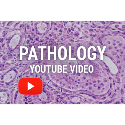 Pathology